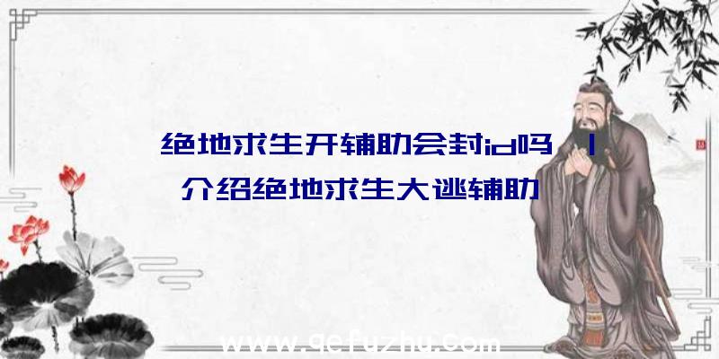 「绝地求生开辅助会封id吗」|介绍绝地求生大逃辅助